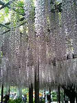 0905032.jpg