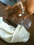 200707291655000.jpg