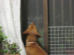 IMG_0690.JPG