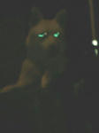 200708312227000.jpg