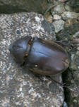 200709041817000.jpg