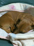 200709292025000.jpg