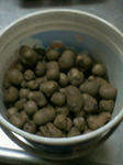 200710151734000.jpg
