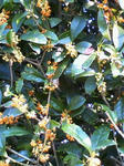 200710241527000.jpg