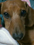 200710302037000.jpg