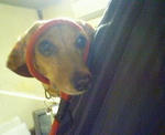 20071102224607.jpg