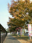 200711151159000.jpg