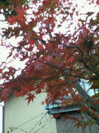 200711241704000.jpg