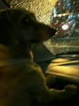 200712101842000.jpg