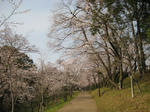IMG_1480.JPG