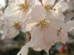 IMG_1483.JPG