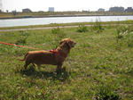 IMG_1558.JPG