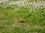 IMG_1561.JPG