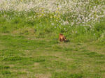 IMG_1564.JPG