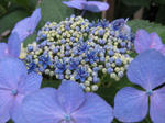 IMG_1856.JPG