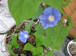 IMG_1989.JPG