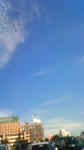 200809271344000.jpg