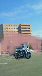 200809271345000.jpg