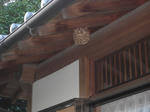 IMG_2264.JPG
