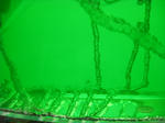 IMG_2280.JPG