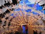 IMG_2536.JPG