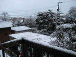 IMG_2564.JPG