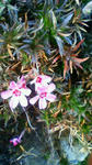 200902021701000.jpg