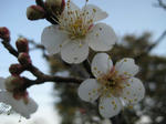 IMG_2587.JPG