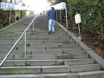 IMG_2665.JPG