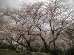 IMG_2687.JPG