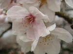 IMG_2688.JPG