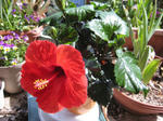 IMG_2722.JPG