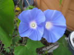 IMG_2762.JPG