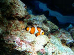 201008271829000.jpg