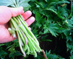 201010041214000.jpg