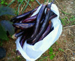 201010041218000.jpg