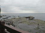 IMG_3843.JPG