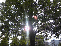 SH3C0007.JPG
