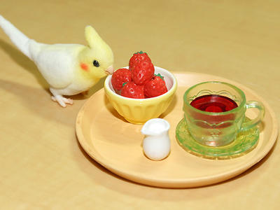 かわいい♪