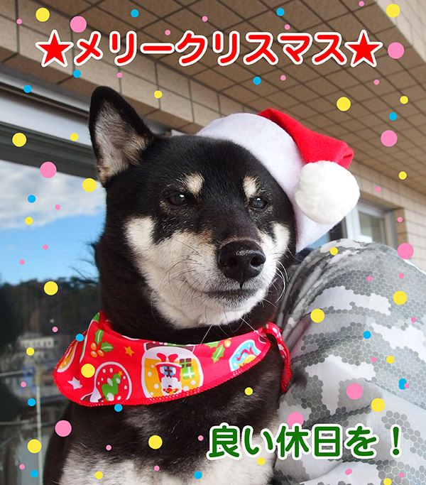 メリークリスマス！