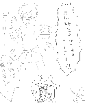 e32.gif