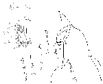 e63.gif