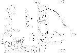 e64.gif