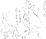 e65.gif