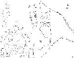 e68.gif