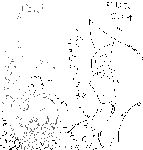 e69.gif