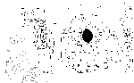 e73.gif