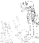 e74.gif