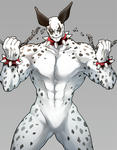 dalmeshi3.jpg