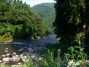 P1010475.JPG